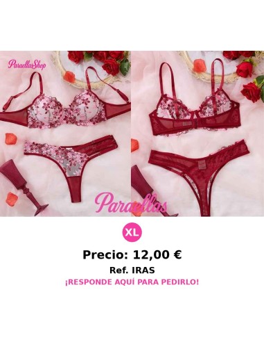 Conjunto lencería vino sexy de sujetador y bragas bordadas