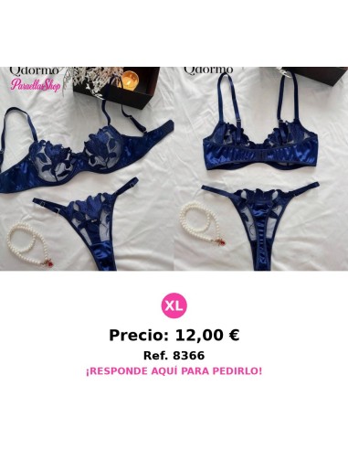 Conjunto De Lencería Sexy De Malla Bordada